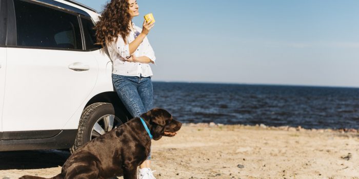 carros elétricos mulher com cachorro na praia encostada no carro