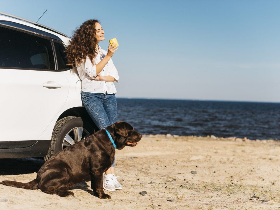 carros elétricos mulher com cachorro na praia encostada no carro