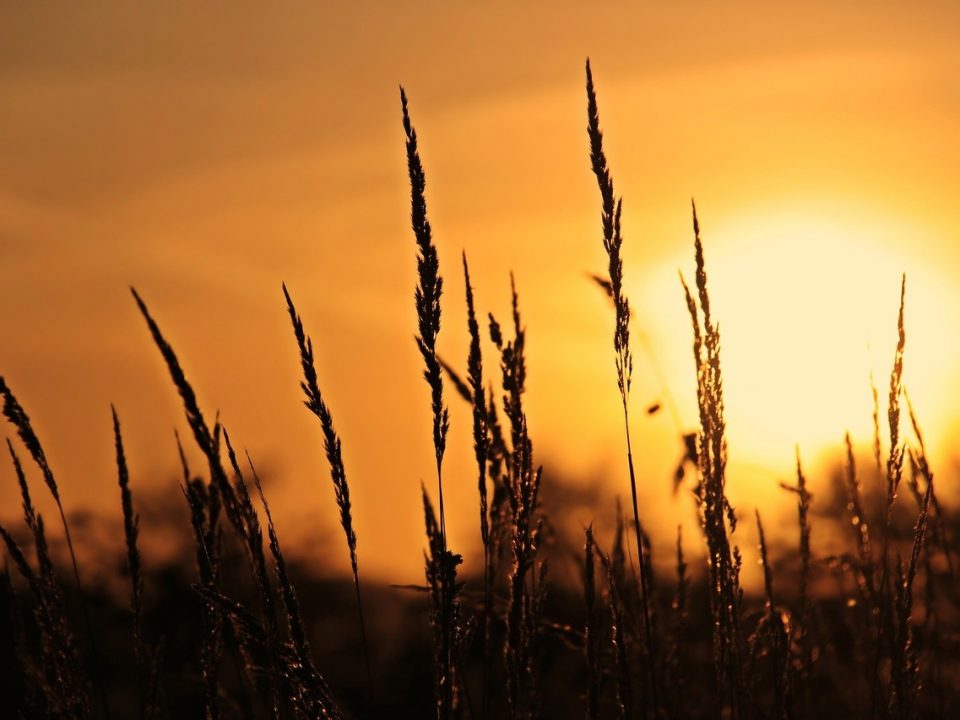 sol-fontes-não-renováveis-de-energia