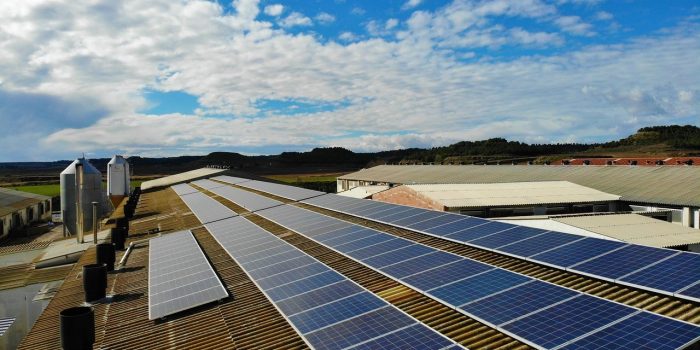 telhado-paineis-solares-transicao-energetica